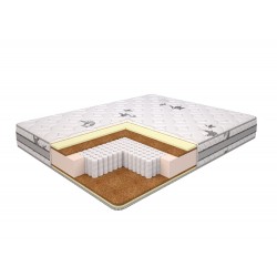 Discovery Gloria Multipocket